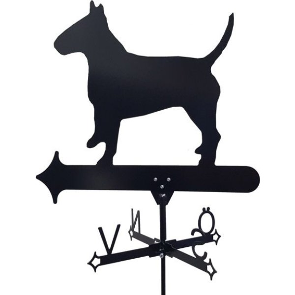 Vindflöjel Bullterrier vit bakgrund.